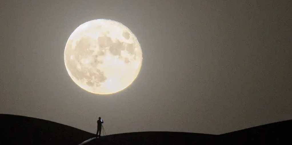 تحت الضوء (44) نحن والقمر جيران