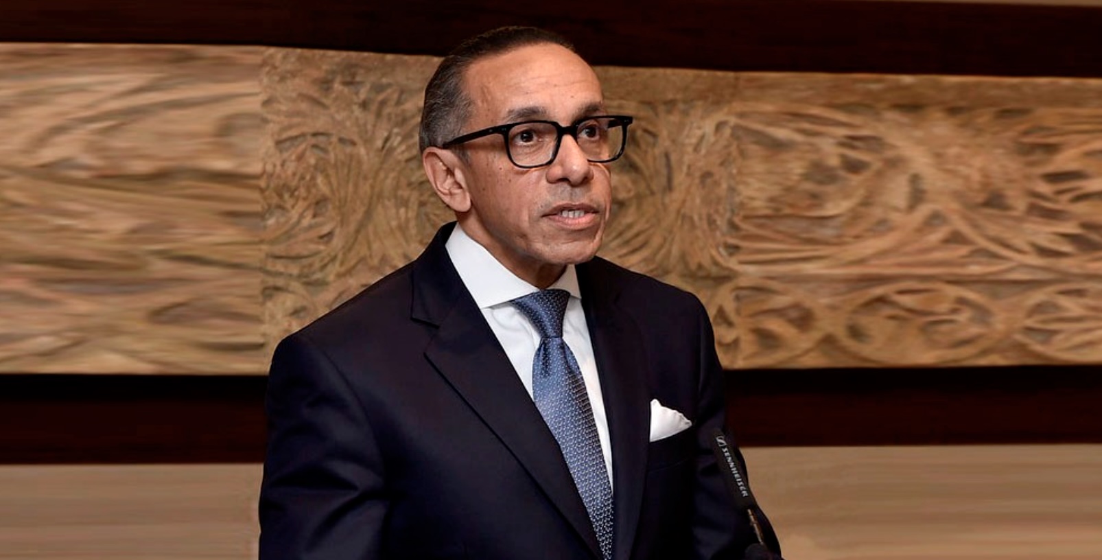 السفير المصري
