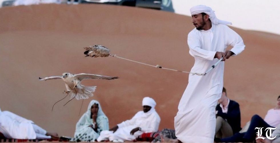 صورة رائعة لصيد الصقور في الامارات