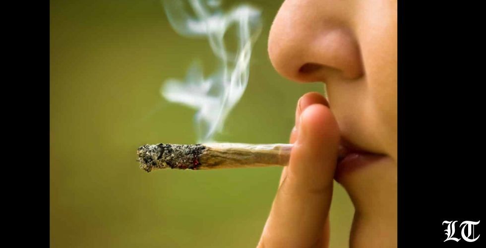شركة تبحث عن موظف لتدخين الحشيش يومياً
