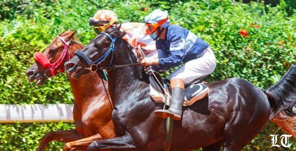 عادت "جربوعا" الى سباق الخيل وغابت هتافات  الجماهير