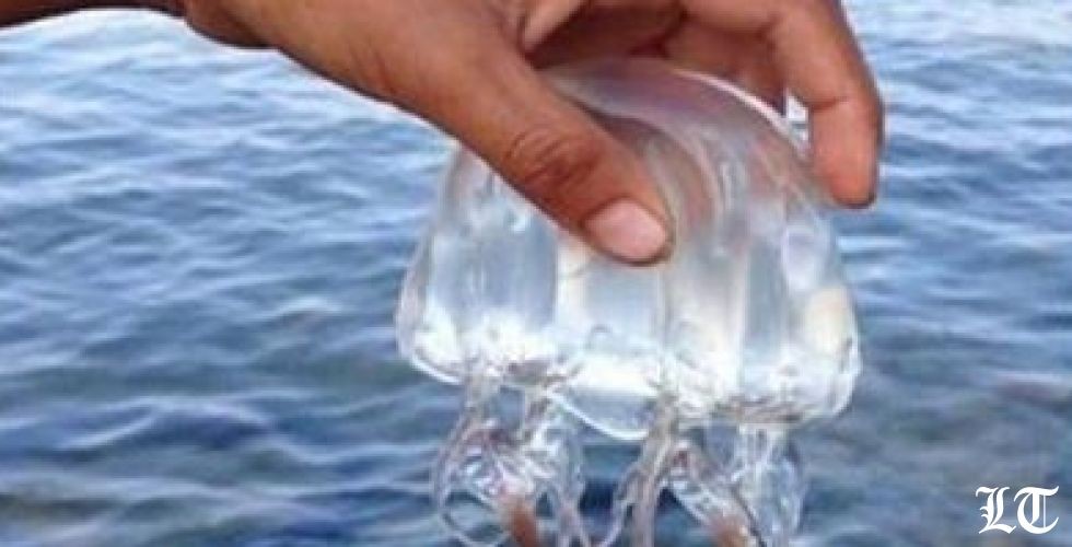 لا سؤال من مجلس النواب عن انقطاع الكهرباء فرؤوسهم أينعت