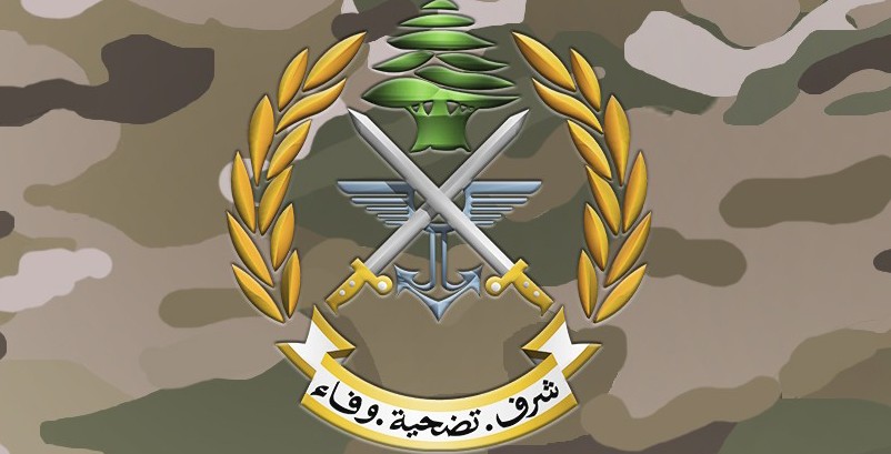 الجيش: اسلحة وذخائر