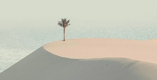 صحراء مصر في صور العزلة