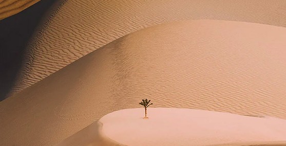 صحراء مصر في صور العزلة