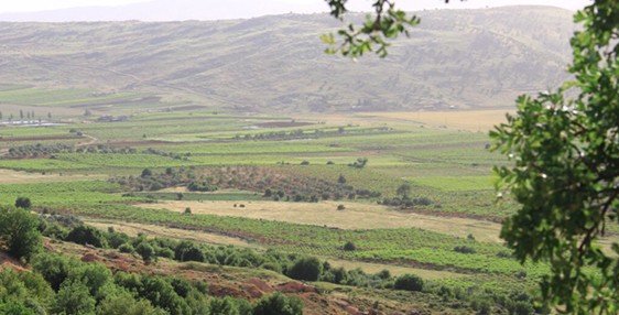 كفرمشكي حيث لا يغيب الضوء
