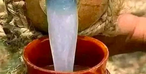 عصير النخيل يحمي من السرطان