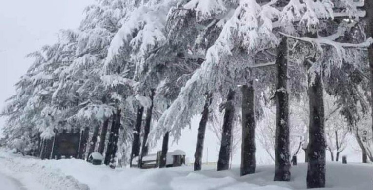 "فرح" تكلّل جبال لبنان بالأبيض