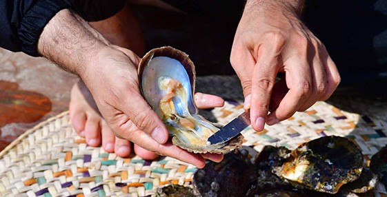 اكتشاف أقدم مدينة لصيد اللؤلؤ في الامارات