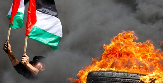 صور من غزة  للمواجهة الفلسطينية