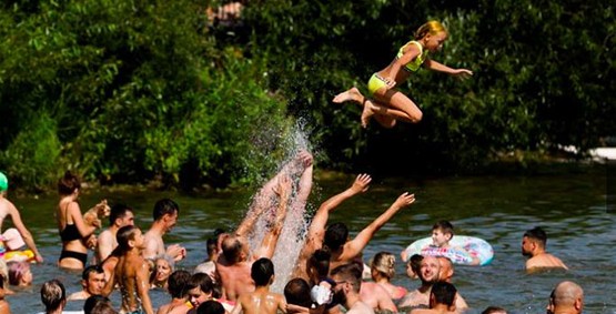صور الصيف :كلاب وسباحة وحرائق