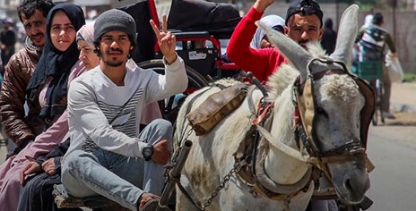 معركة رفح :المرحلة الجديدة من حرب غزة