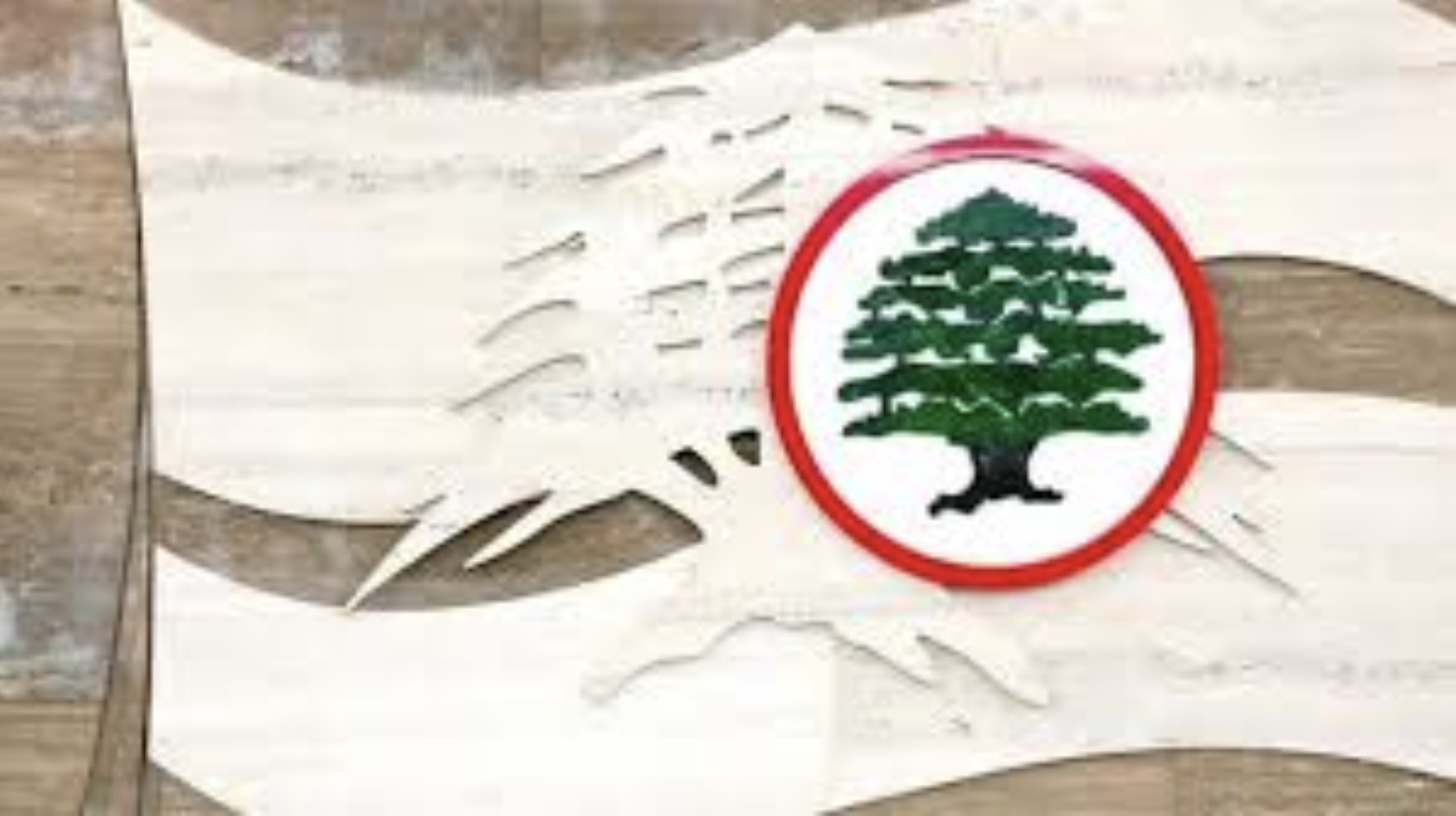 القوات تردّ على الشيخ نعيم قاسم