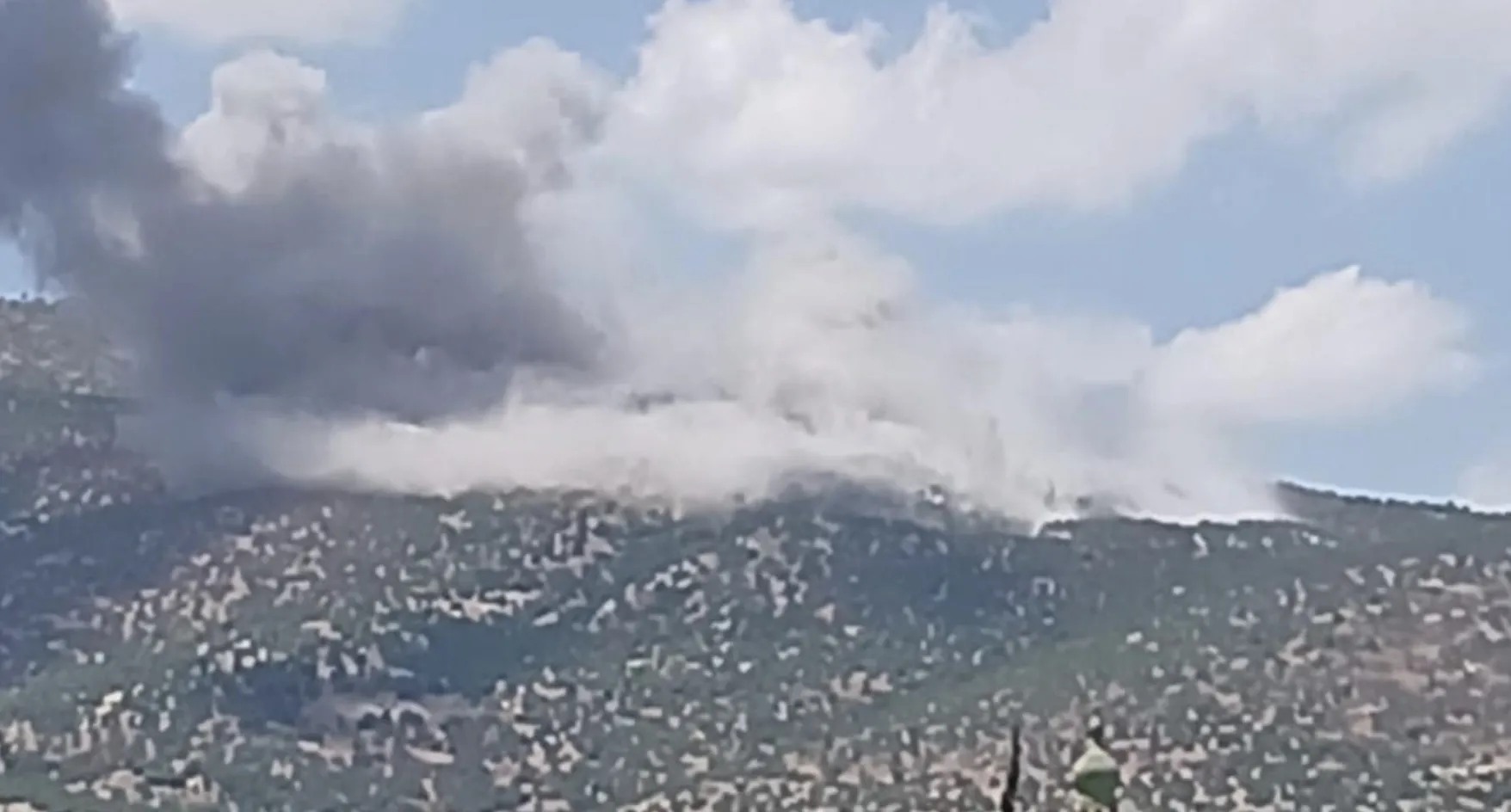 جنوب لبنان
