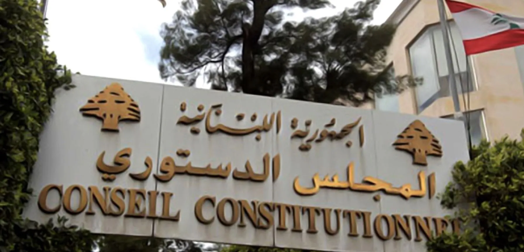 المجلس الدستوري
