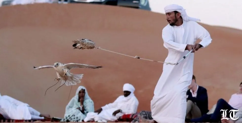 صورة رائعة لصيد الصقور في الامارات