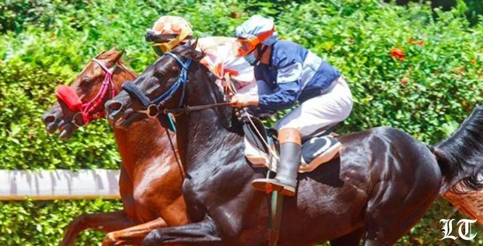 عادت "جربوعا" الى سباق الخيل وغابت هتافات  الجماهير