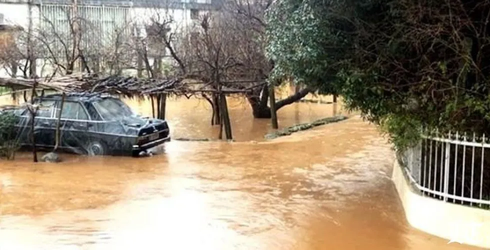 مطر وثلج ورياح وصقيع...هذا هو المتوقع