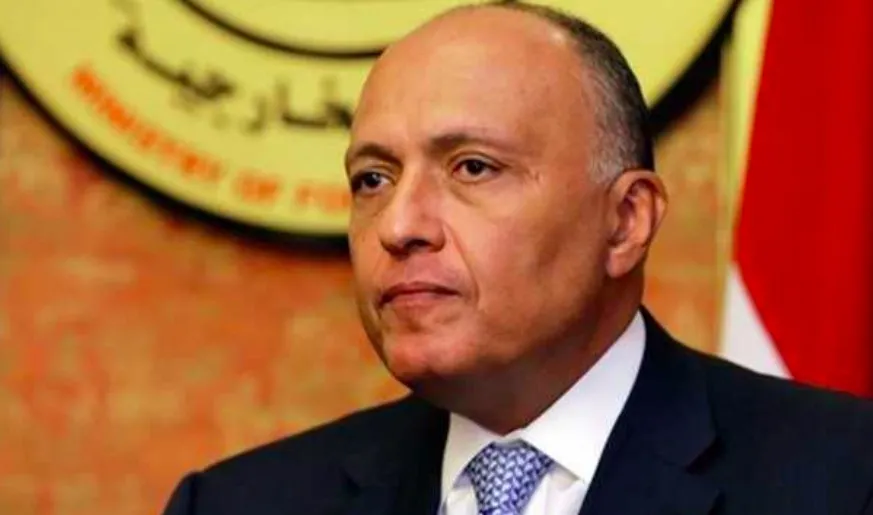 برنامج زيارة وزير الخارجية المصرية في مهمة حكومية