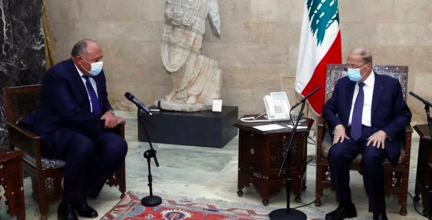 شكري : تشكيل حكومة  للدعم العربي والدولي