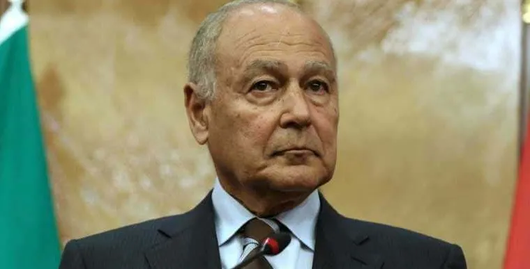 أبو الغيط:دعم لبنان