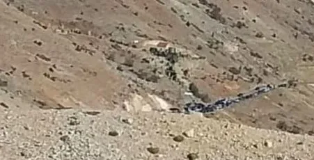 حزب الله يتحرك عسكريا في جرود صنين