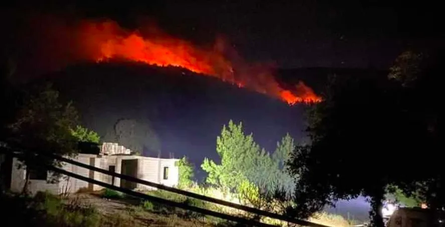 حريقٌ في أكبر حرش صنوبر في المنطقة