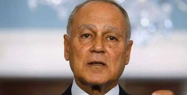 أبو الغيط لتنفيذ القرار ١٧٠١ بسرعة