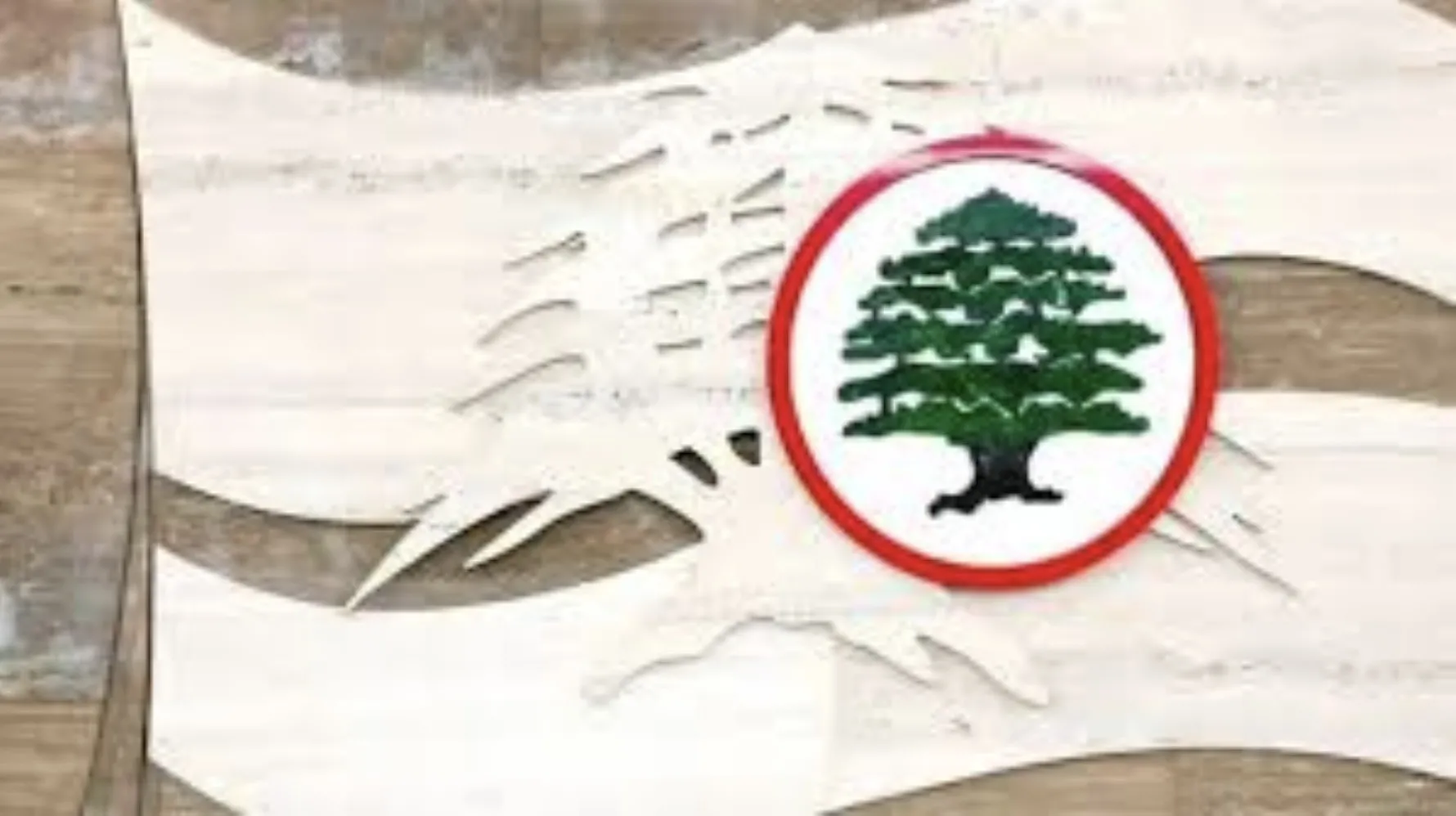 القوات تردّ على الشيخ نعيم قاسم