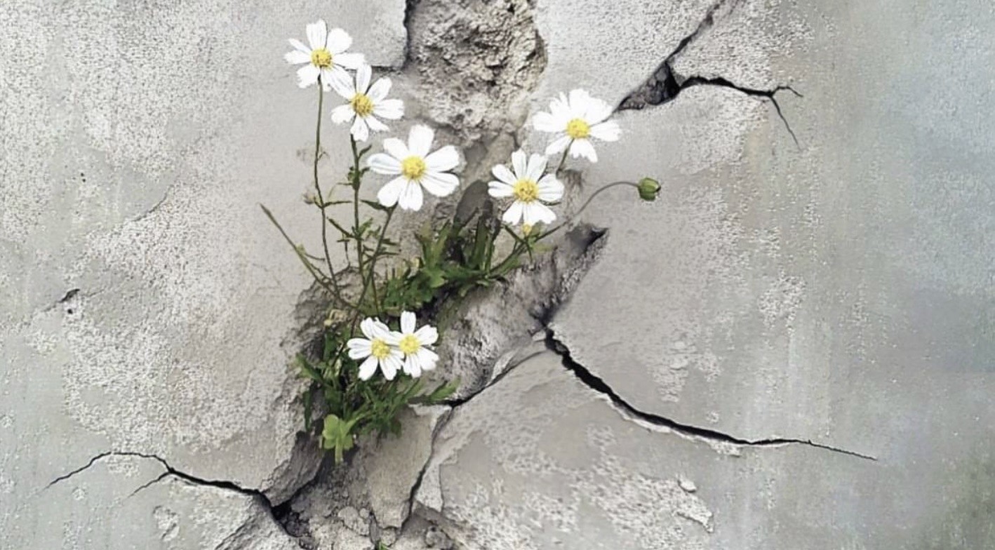 ٢٠٢٦: حرب بالجملة أم حرب بالتقسيط؟